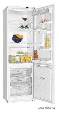 Холодильник Атлант 6024-031 / 367 л, внешнее покрытие-металл, размораживание - ручное, 60 см х 195 см х 63 см / Global