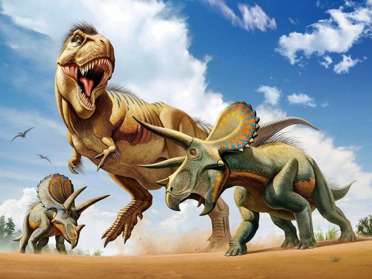 Пазл Super 3D Тираннозавр против трицератопса, 500 детал. 670889103293 0670889103293