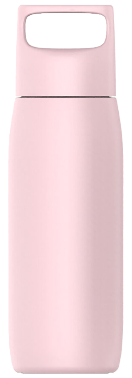 Термос Xiaomi Mi Fun Home Accompanying Mug 450 ml Pink, world