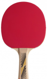 Donic Ракетка LEGENDS 300 рассчитана на тип игры Control/ накладка Jade/ толщина губки 1 мм/ одобрена Международной федерацией настольного тенниса ITTF