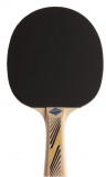 Donic Ракетка LEGENDS 300 рассчитана на тип игры Control/ накладка Jade/ толщина губки 1 мм/ одобрена Международной федерацией настольного тенниса ITTF
