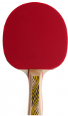 Donic Ракетка LEGENDS 500 рассчитана на тип игры Allround/ накладка Elite/ толщина губки 1,8 мм/ одобрена Международной федерацией настольного тенниса ITTF