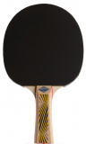 Donic Ракетка LEGENDS 500 рассчитана на тип игры Allround/ накладка Elite/ толщина губки 1,8 мм/ одобрена Международной федерацией настольного тенниса ITTF