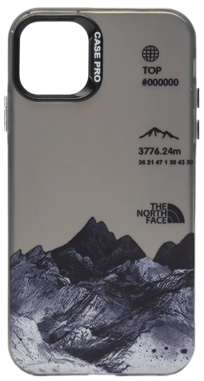 Чехол KAWS для iPhone 15 силиконовый, The north face